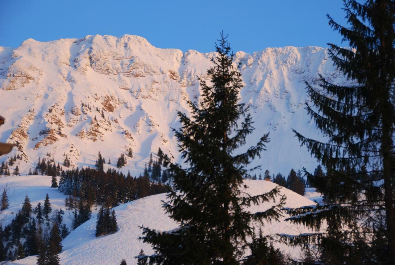 Fewo Heitmann Oberjoch Zewnętrze zdjęcie